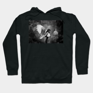 Magpie Feeding Hoodie